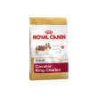 Breed hn cavalier king c 1,5kg