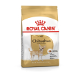Breed hn chihuahua 1,5kg