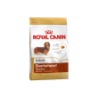 Breed hn dachshund 0,5kg