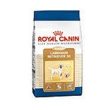 Breed hn labrador retr adulti 12kg