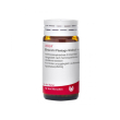 Bronchi plant compatta 20g gl wala