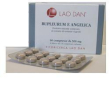 Bupleurum angelica 60 compresse blis
