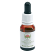Bush fuchsia gocce 15ml