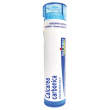 Calcarea carb 6ch gr