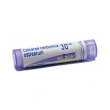 Calcarea carb ost 30ch gr