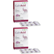 Calmacid tavolette masticabili 2x24 g