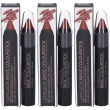 Camaleon basic colourstick terra 3x1 st