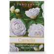Camelia sacchetto prof cas