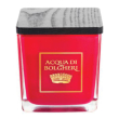 Candela profumata bacche vinum