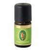 Cannella cort 60% olio essenziale 5ml