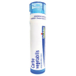 Carbo vegetabilis 200ch gr
