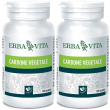 Carbone vegetale tavolette 2x100 pz compresse
