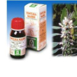 Cardiaca 16 50ml tm