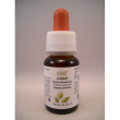 Cardo mariano 60ml gocce