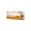 Carfogil 30 compresse