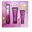 Caudalie the des vignes cofanetto regalo