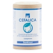 Cefalica 60 compresse