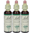 Centaury bach orig 20ml 3x20 ml gocce orali