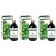 Centella estratto integrale 200 ml 3x200 ml soluzione orale