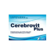 Cerebrovit plus 24 capsule