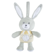 Chicco gioco fd lullaby star bunny