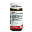 Chamomilla nicoti 20g gl wala