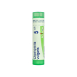 Chamomilla vulgaris 5ch 80gr