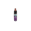 Chicory bio cromo 10ml