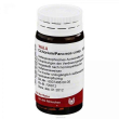Cichorium pancreas 20g gl wala