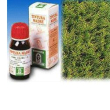 Cipresso 11 50ml tm