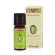 Citronella olio essenziale 10ml