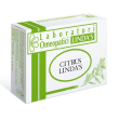 Citrus 45 tavolette lindas