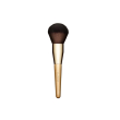 Clar pennello polveri
