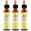 Clematis bach orig 20ml 3x20 ml gocce orali