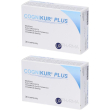 Cognikur plus compresse 2x33 g