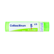 Colibacillinum 5ch gr