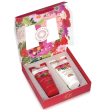 Collana d'ambra cofanetto rosso d'ambra 1 bagnodoccia 75 ml + 1 bianco d'ambra crema corpo 75 ml