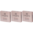 Collistar cipria compatta impeccabile tonalita 30g honey 1 st