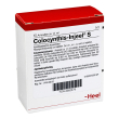 Colocynthis inj 10f heel