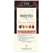 Color kit phytocolor 6,66 castano intenso rosso ciliegia 1 latte rivelatore 50 ml + 1 crema colorante 50 ml + 1 maschera prolunga colore 10 ml + 1 paio di guanti