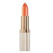 Rossetto color riche 373 magn