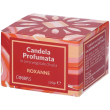 Colors candela profumata roxanne in cera vegetale 1 pz altro