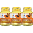 Colours of life fermenta papaia plus 60 compresse 1000 mg 3x60 pz comp