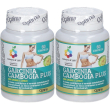 Colours of life® garcinia cambogia plus 2x60 g compresse