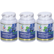 Colours of life mirtillo puro 3x30 g capsule