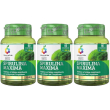 Colours of life® spirulina maxima 3x60 g compresse