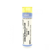Conium maculatum 6lm gr