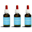 Coraggio fobie natur mix 30 ml 3x30 ml gocce orali