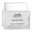 Cosmeceutical nam recovery mas