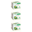 Cotidierbe tisana 3x15 pezzi bustine filtro